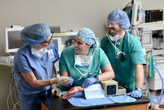 Students practice placing an IV in the nurse anesthesia lab