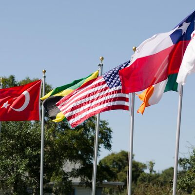 Various flags of the world